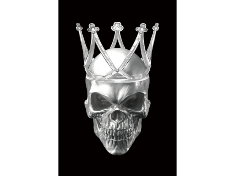 Obraz Skull II