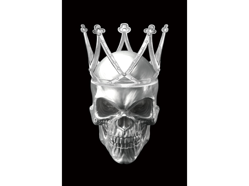 Obraz Skull II